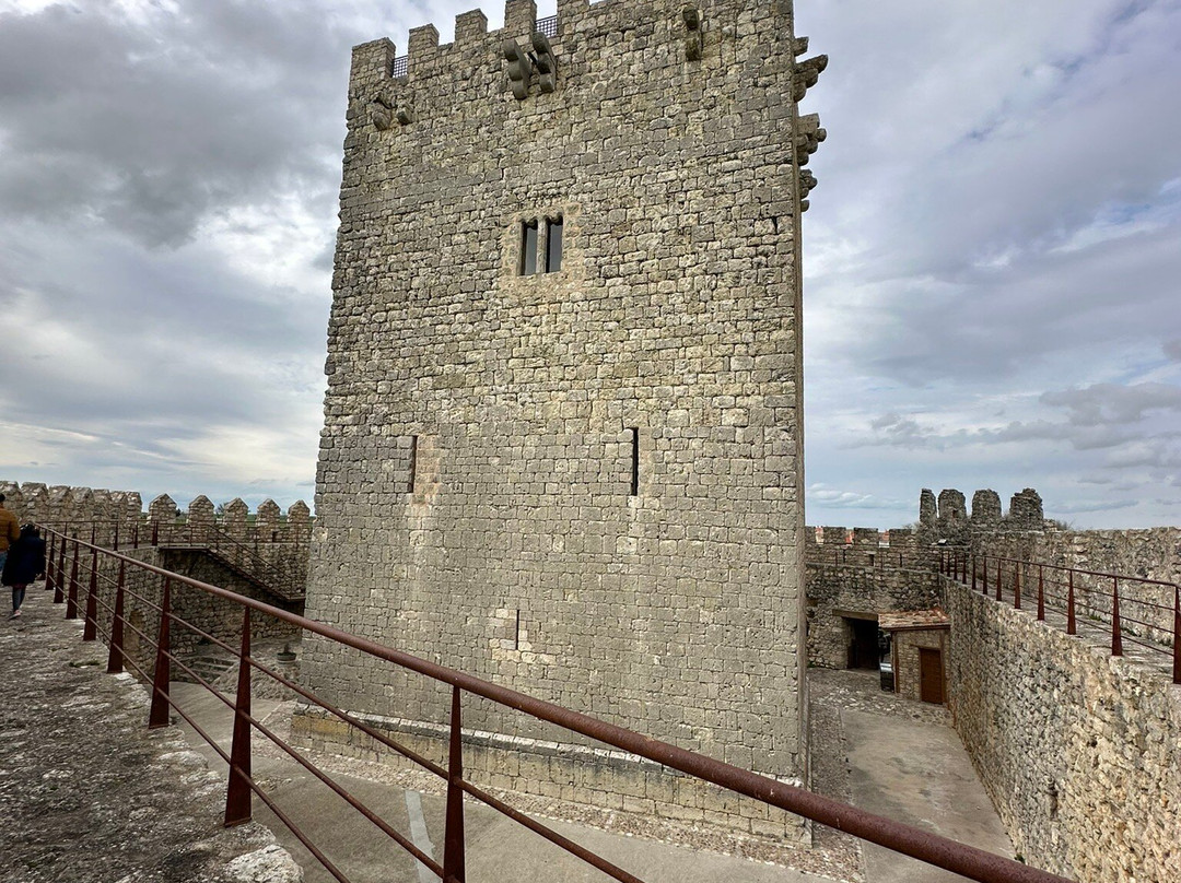 Castillo de Tiedra景点图片