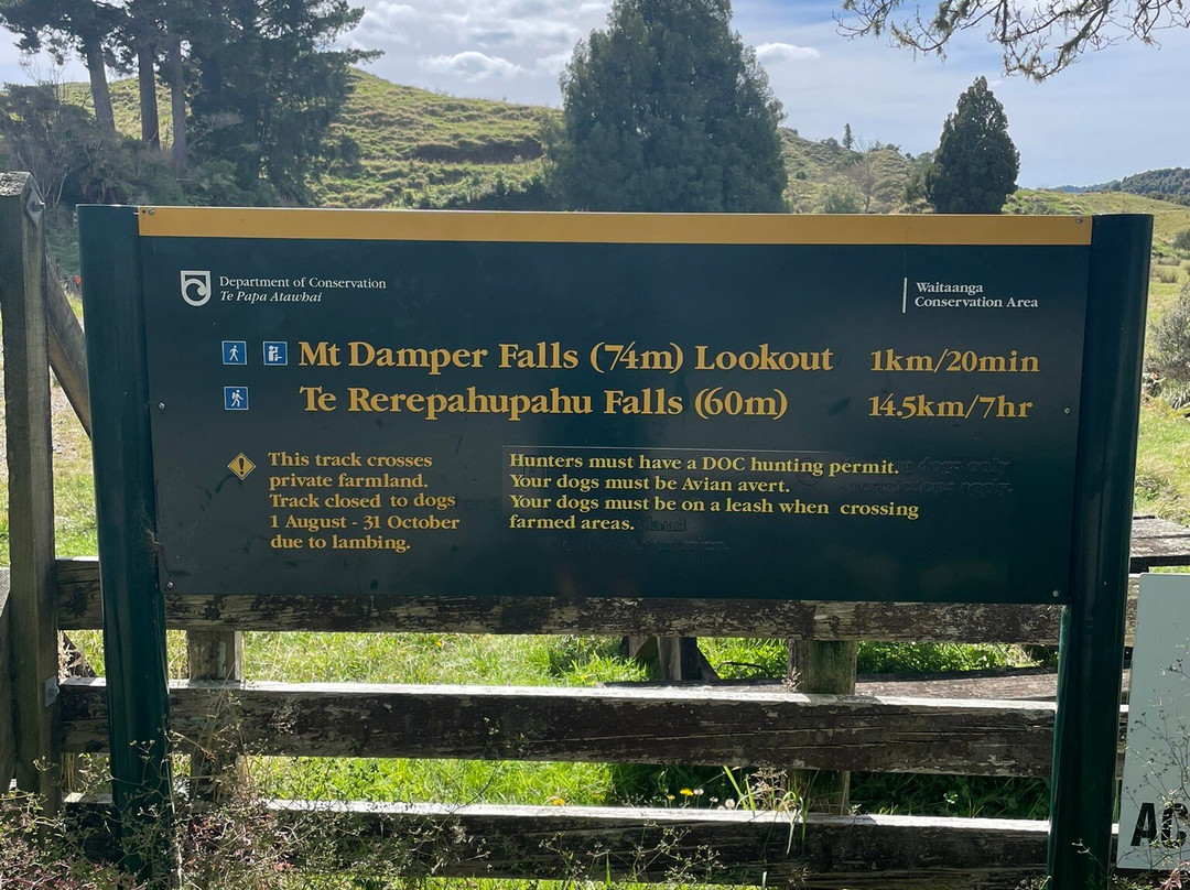 Mount Damper Falls景点图片