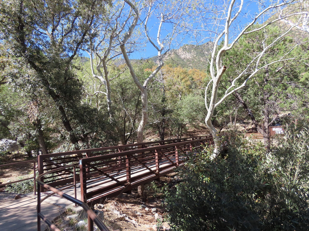 Madera Canyon-Madera Canyon必去景点