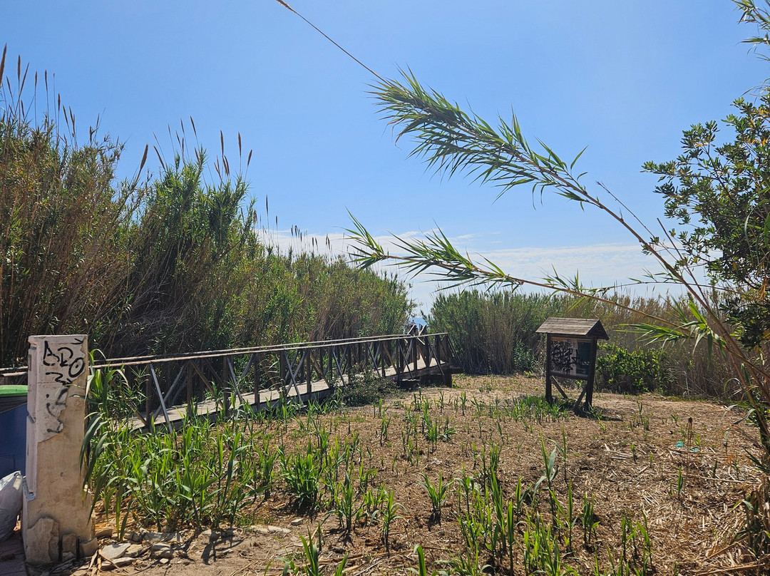 Guardamar Moncayo Beach景点图片