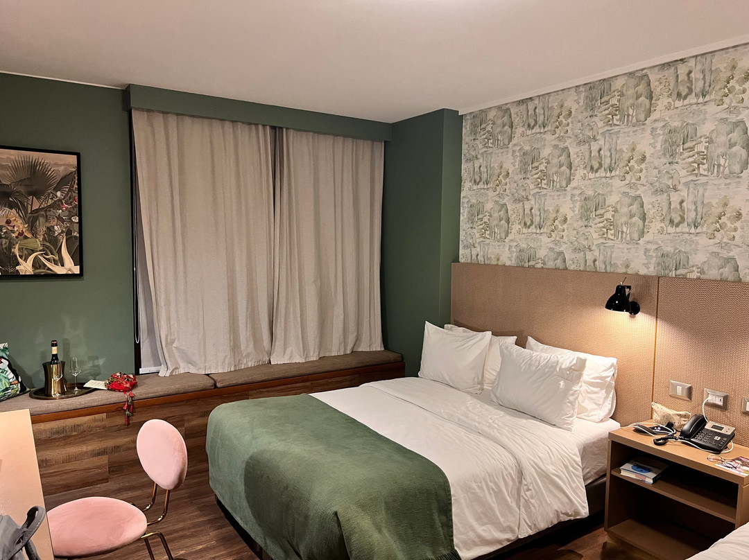 Hotel Eco Boutique Bidasoa主图
