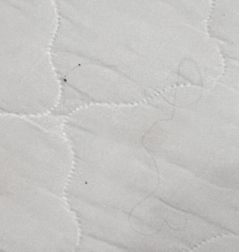 Hilton Garden Inn Texarkana主图