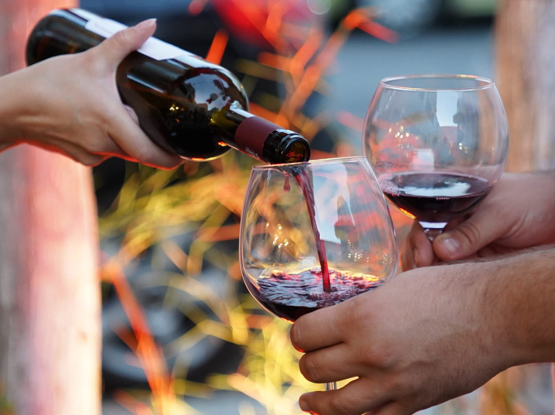 Vinum Wine Tours-杜勒斯必去景点