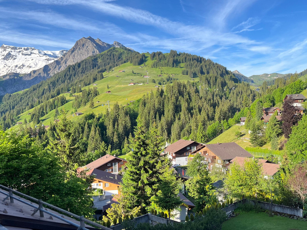 Hotel Steinmattli主图