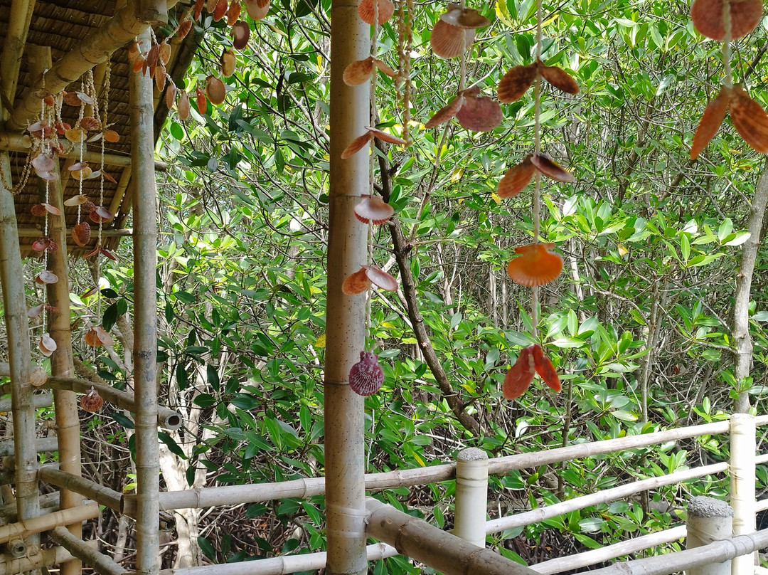 Omagieca Mangrove Garden-班塔延岛必去景点