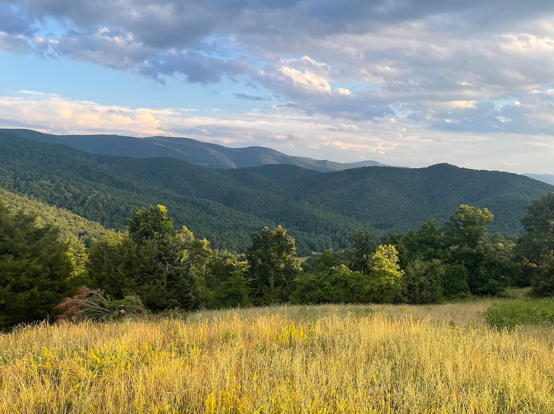 Mountaintop Ranch Wilderness Trail Rides-Elkton必去景点