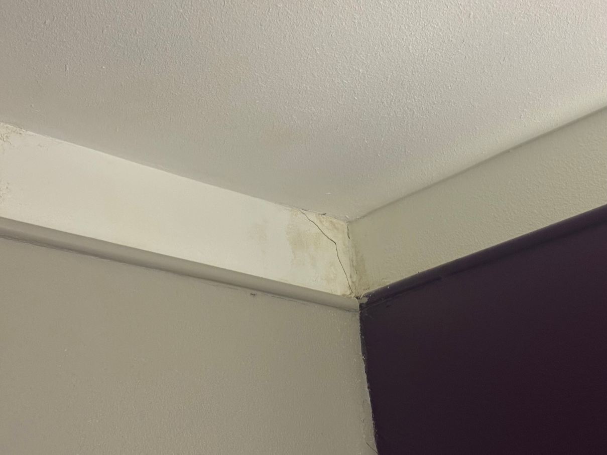 罗斯威尔拉昆塔温德姆套房酒店-客卧