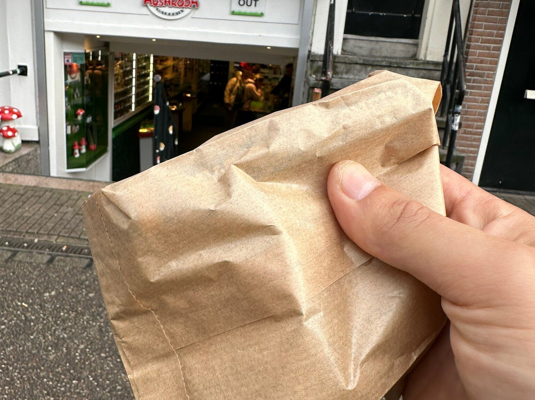 The Magic Mushroom Gallery-阿姆斯特丹必去景点