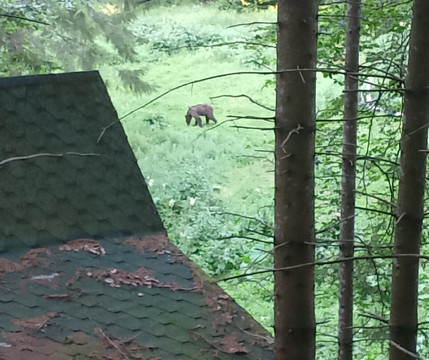 Wild Romania Travel-布拉索夫必去景点