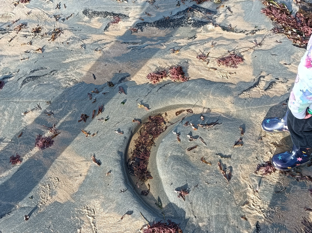 Dinosaur Dreaming-Inverloch必去景点