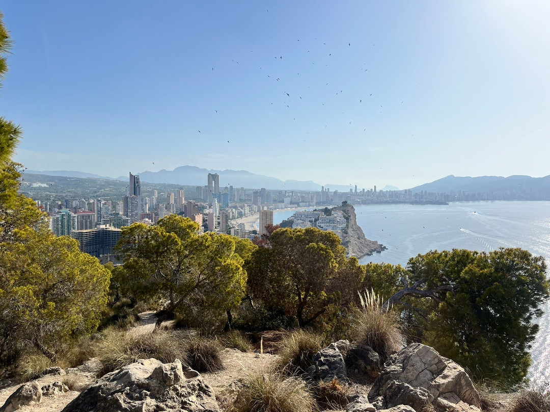 Torre el Aguilo景点图片
