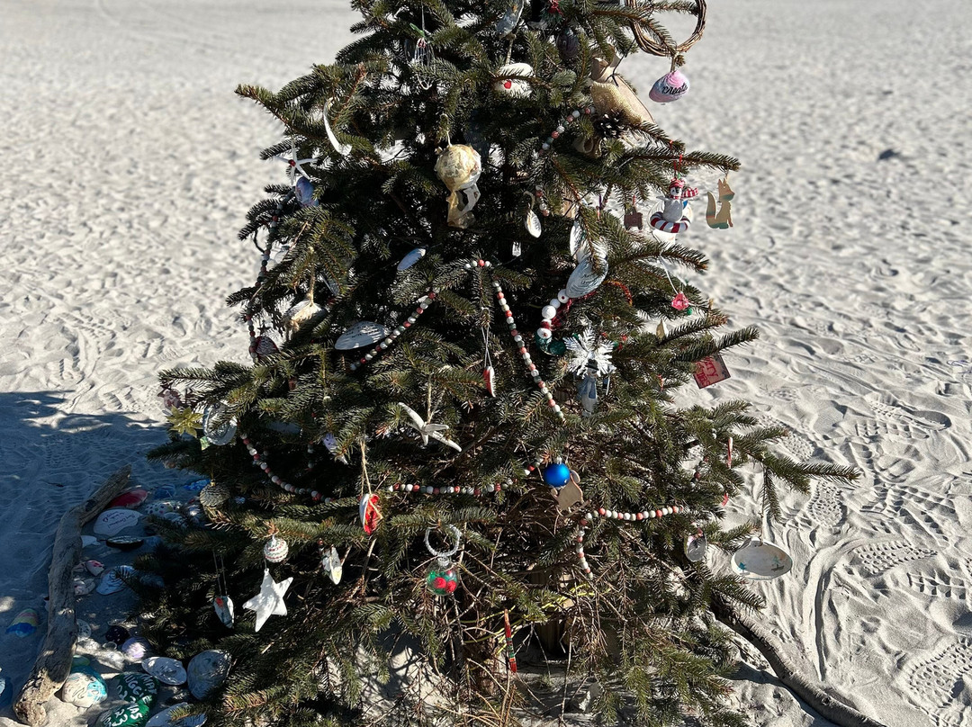 Brigantine Beach-Brigantine必去景点