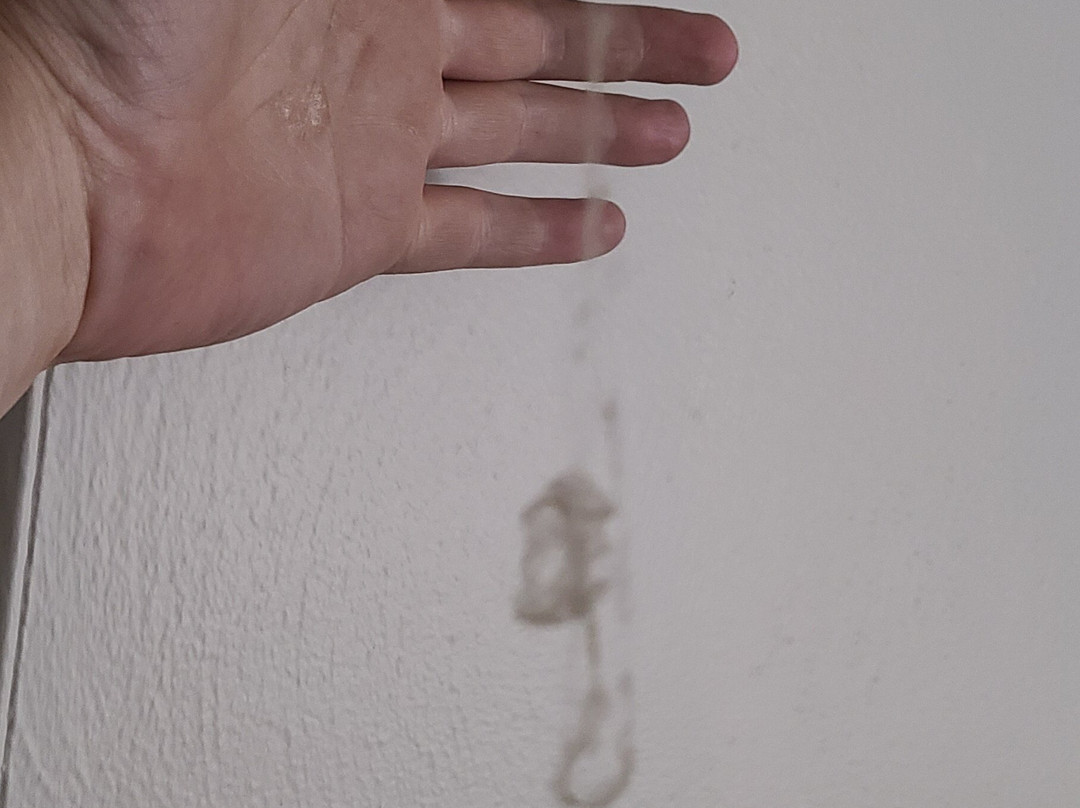 Days Inn by Wyndham Wauseon主图