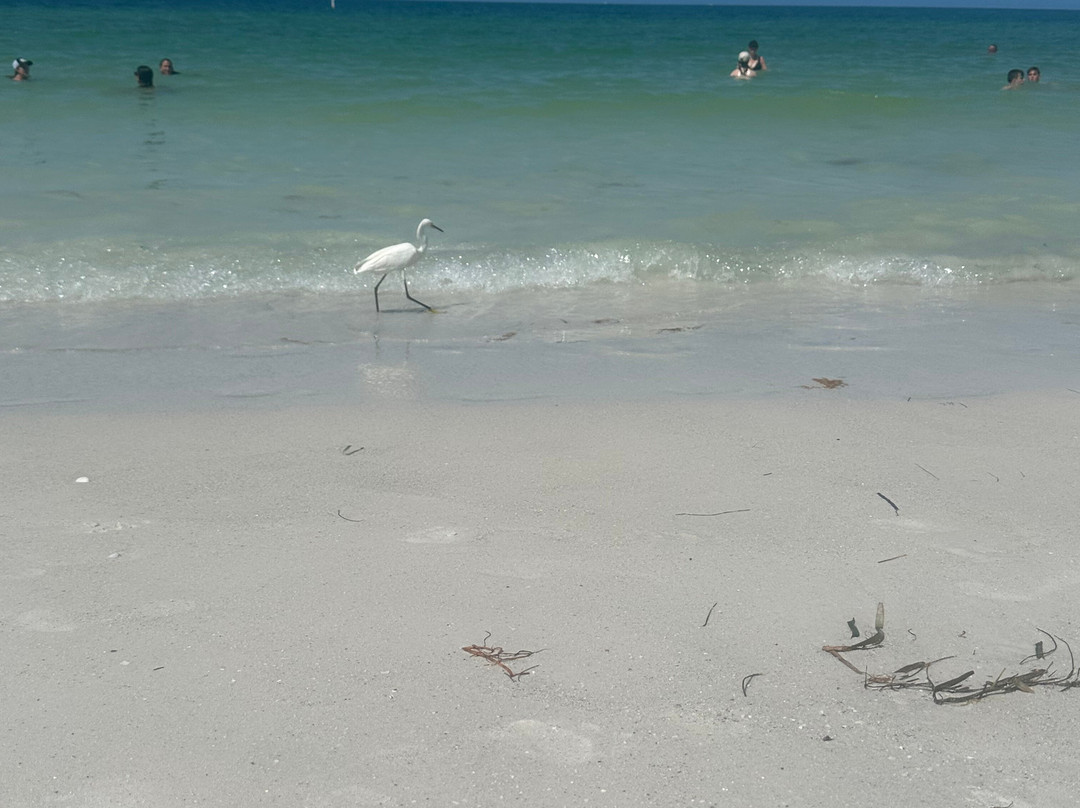 Lido Key Beach-Lido Key必去景点
