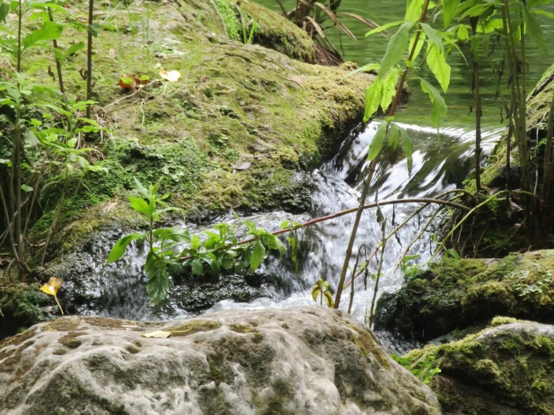 Gorges de Pennafort景点图片