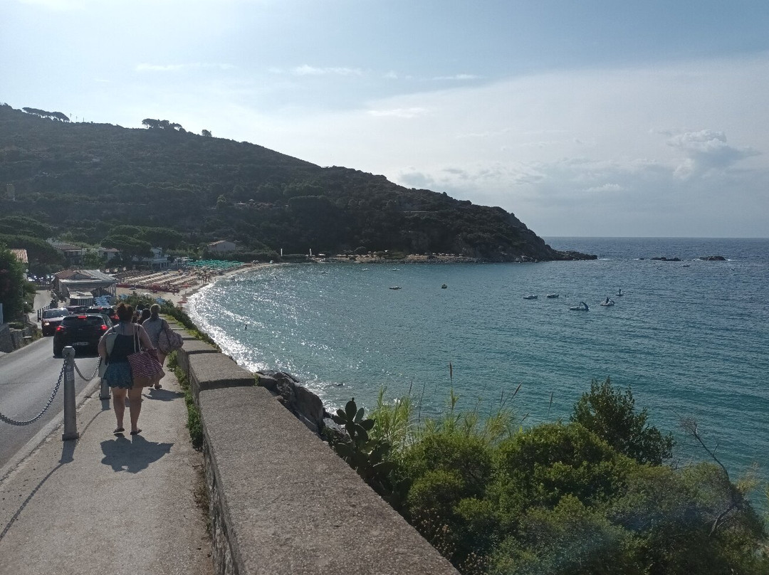 Spiaggia di Cavoli景点图片