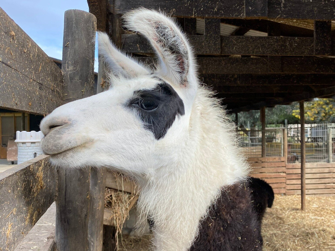 Campo Educativo-Concon必去景点