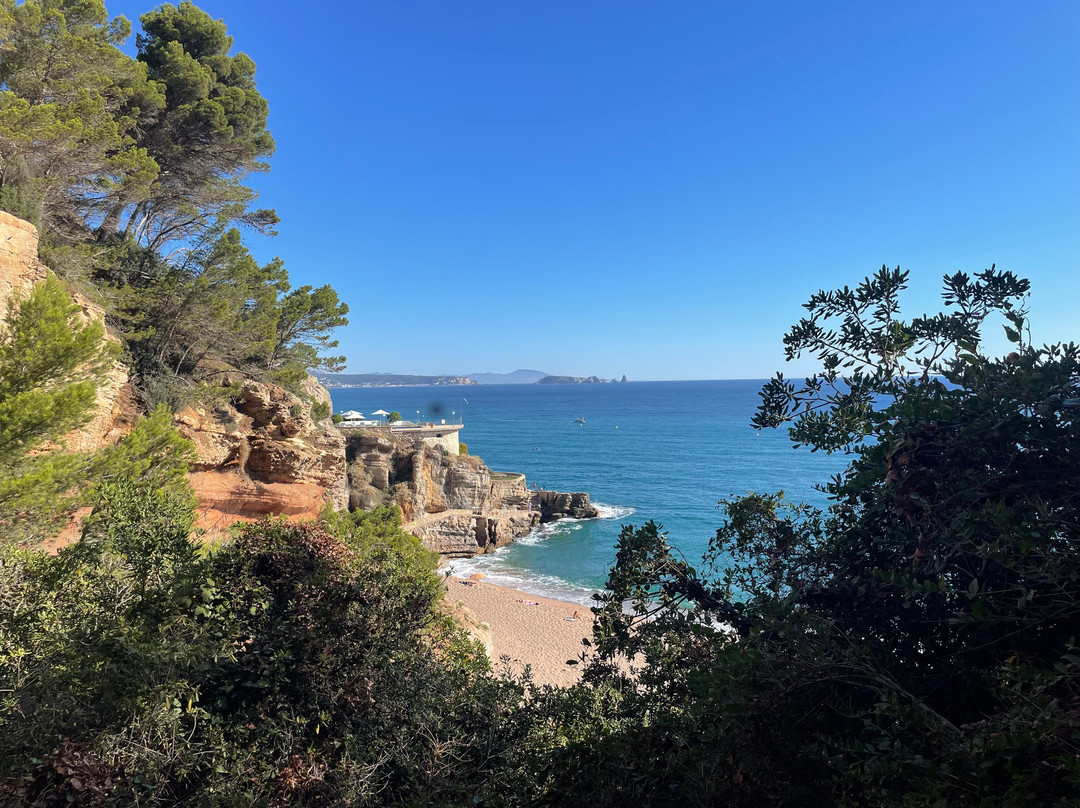 Platja De L'Illa Roja景点图片