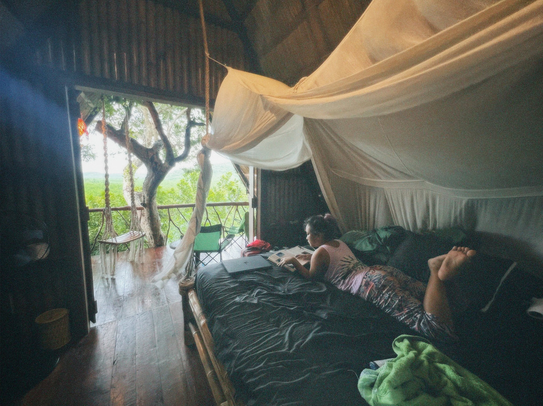 岛桑科图阿里亚树屋酒店主图