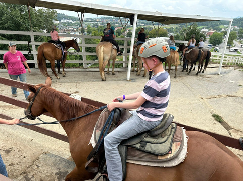 Five Oaks Riding Stables-塞维尔维尔必去景点