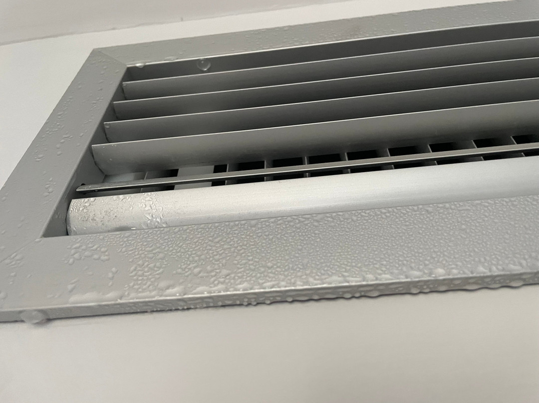 Azul Beach Resort Montenegro主图