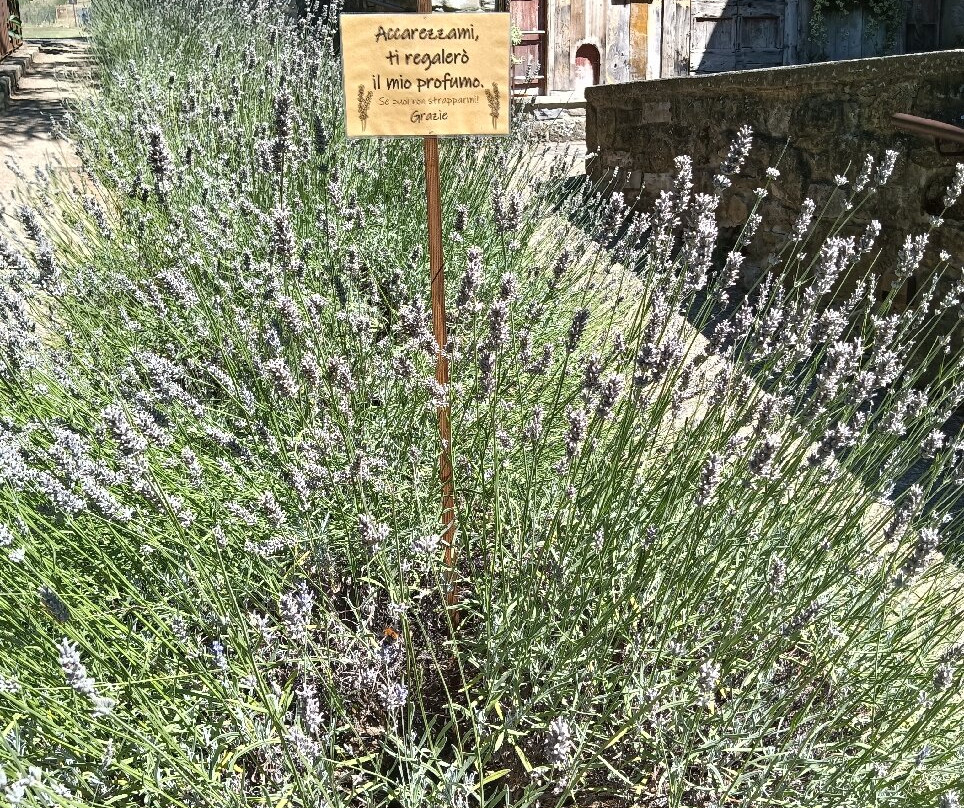 Pieve di Romena景点图片