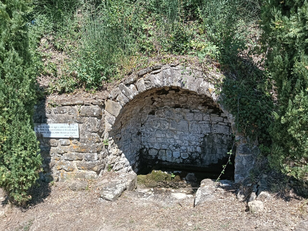 Castello di Romena景点图片