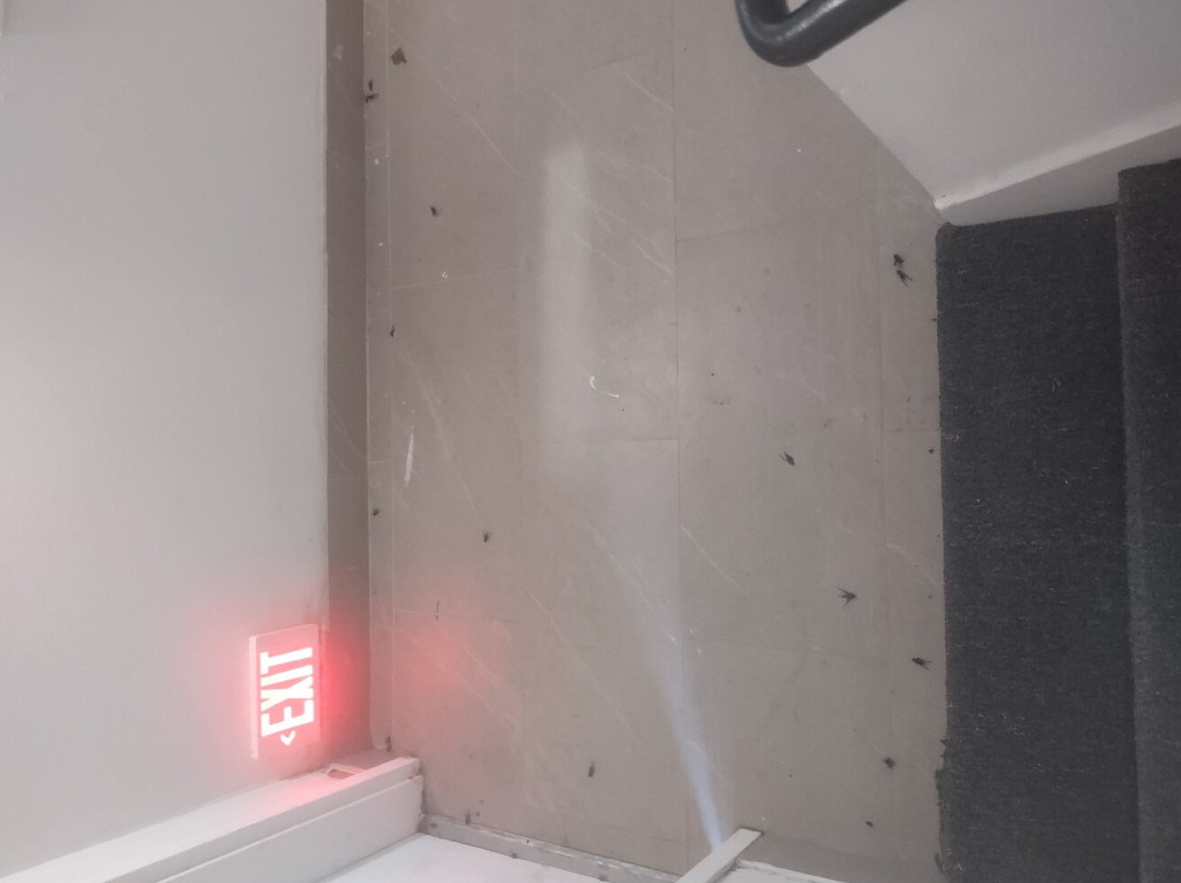 La Quinta Inn & Suites by Wyndham Decatur主图