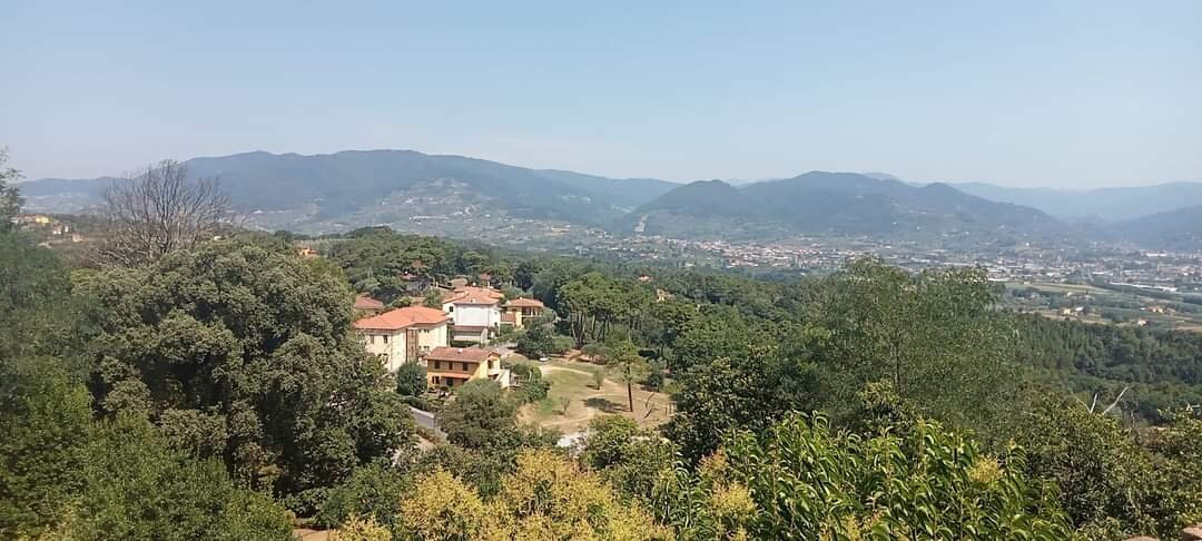 Discover Lucca with Elena-Montecarlo必去景点