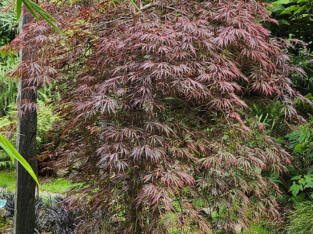 Les Jardins de Kerfouler景点图片