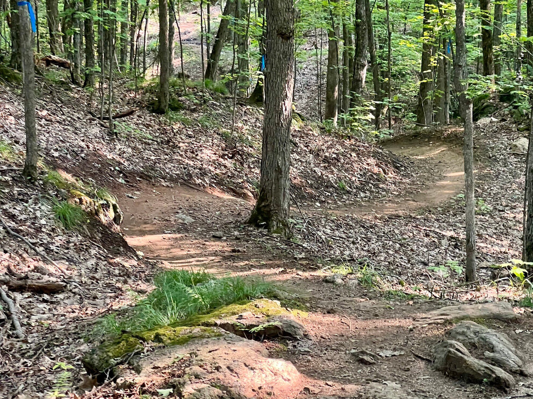 Domaine Kanawe-Cantley必去景点