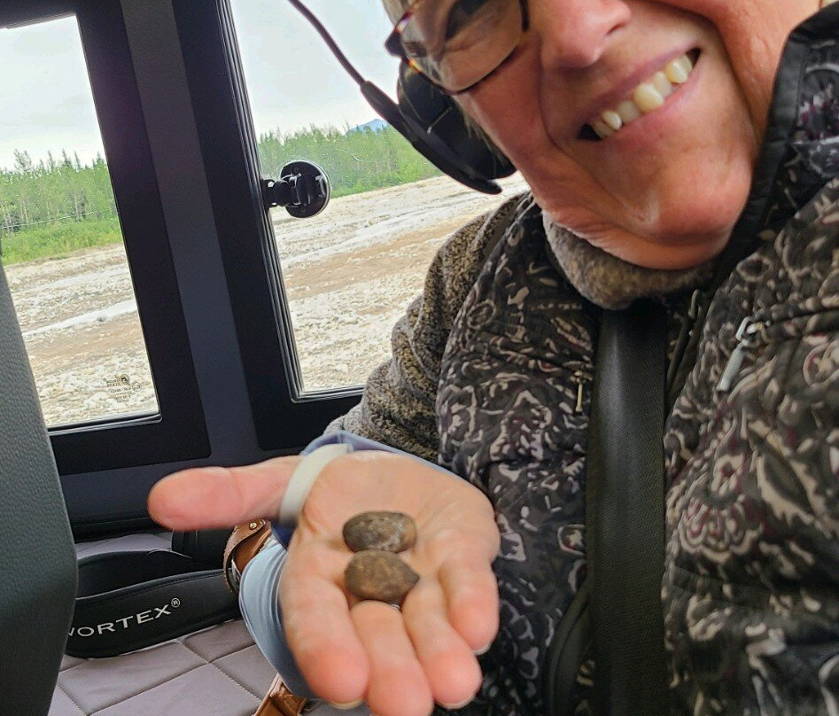 Denali Fat Truck Tours LLC-希利必去景点