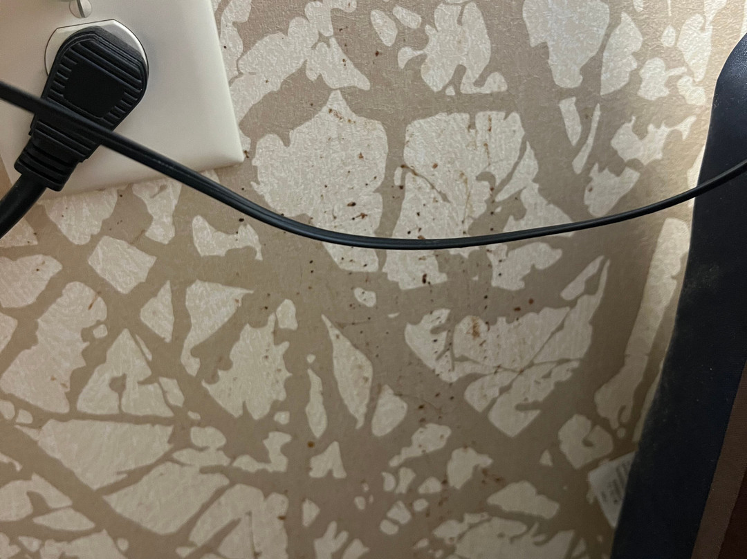 Home2 Suites by Hilton Parc Lafayette主图