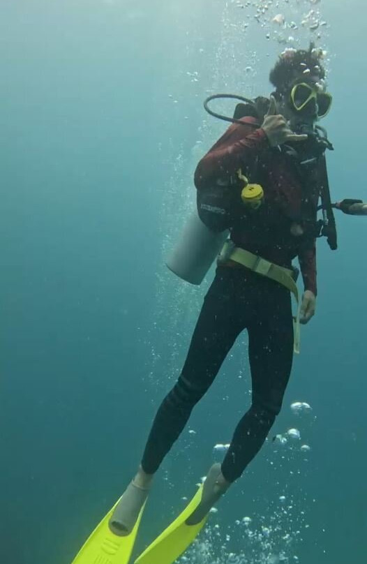 Turtle Bay Divers-小停泊岛必去景点