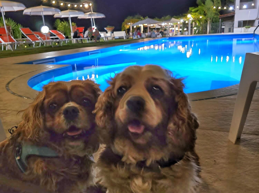 Hotel Cristina主图