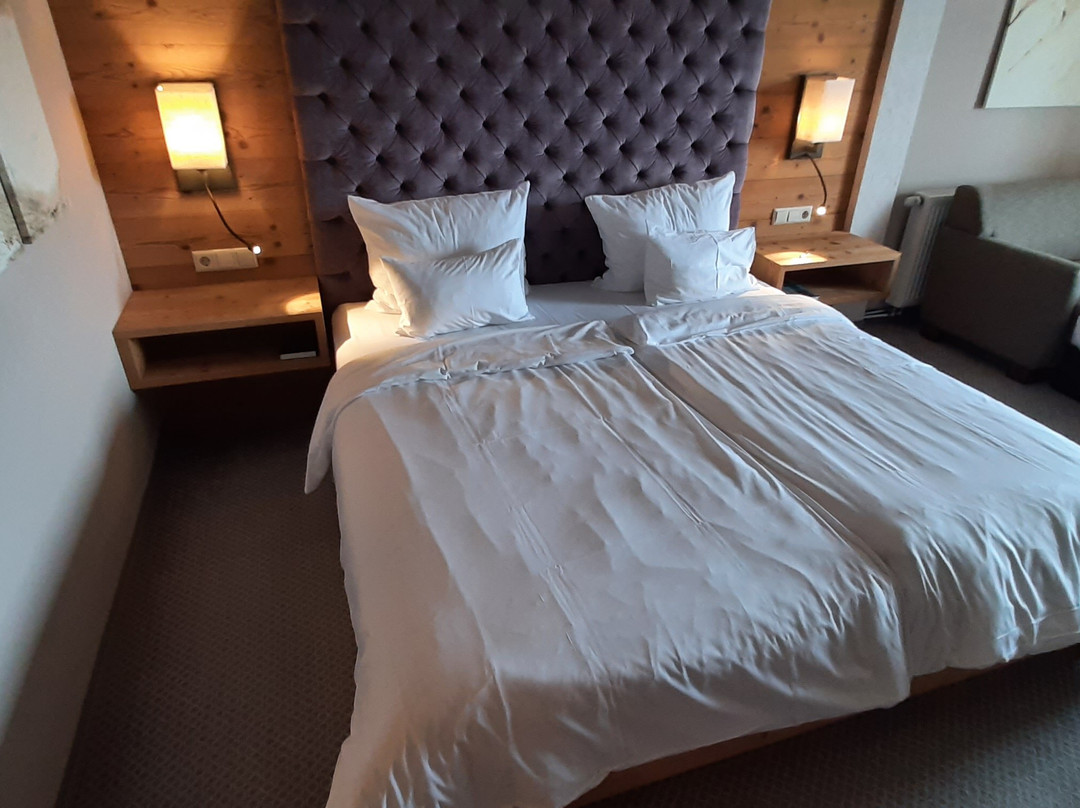 Meiser Spa Resort主图