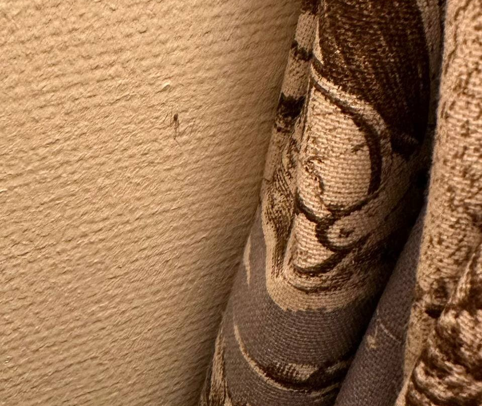 Gutshaus Stolpe Hotel and Restaurant主图