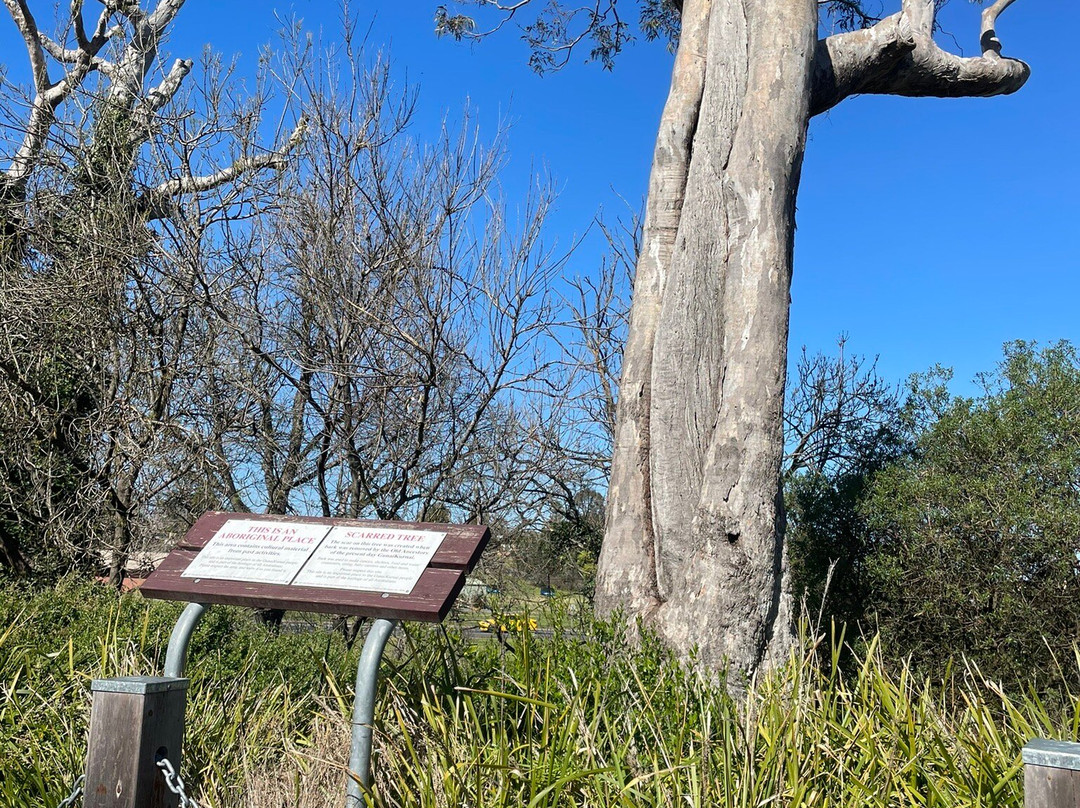 Howitt Park Playground-Bairnsdale必去景点