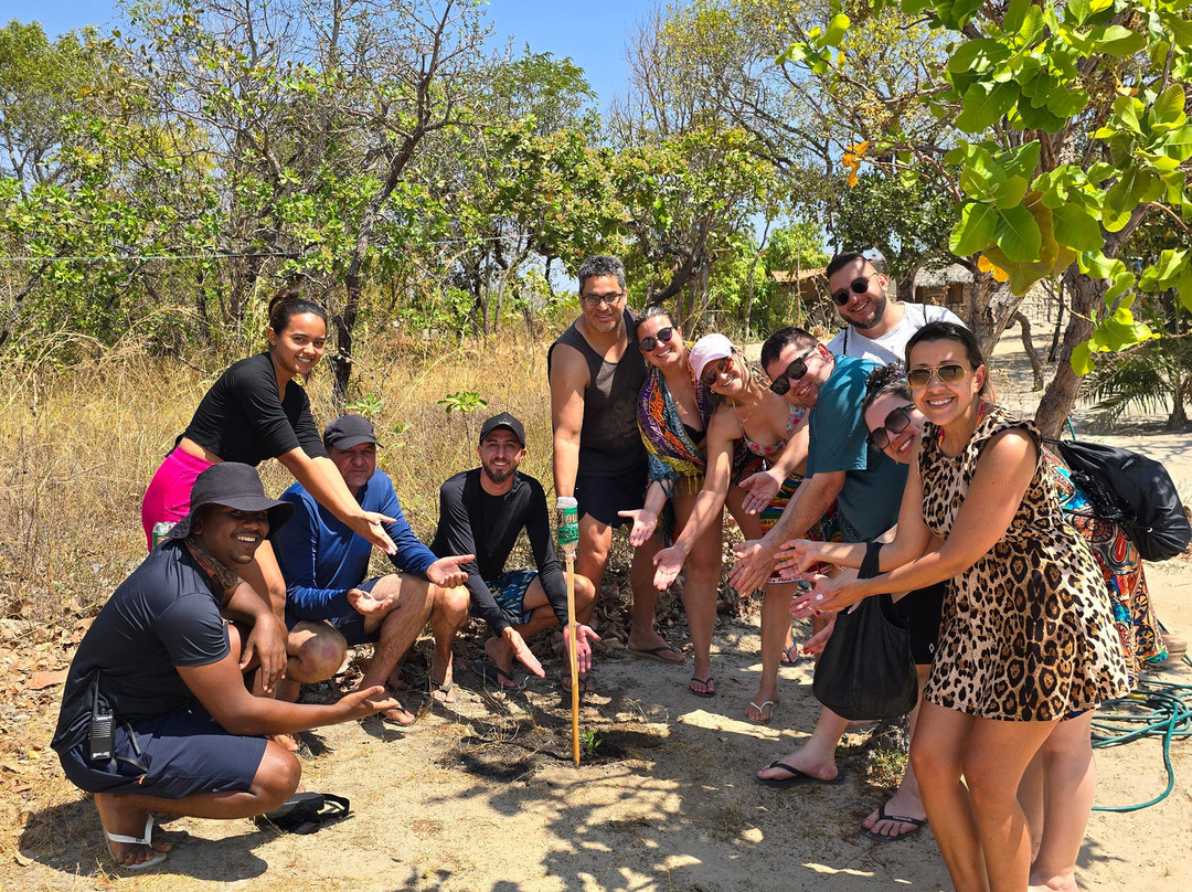 OURIQUE COMPANY / TURISMO DE EXPERIÊNCIA NA CHAPADA DOS VEADEIROS / SERRAS GERAIS / JALAPĀO / CHAPADA DIAMANTINA / CHAPADA DAS MESAS-上帕拉伊苏迪戈亚斯必去景点