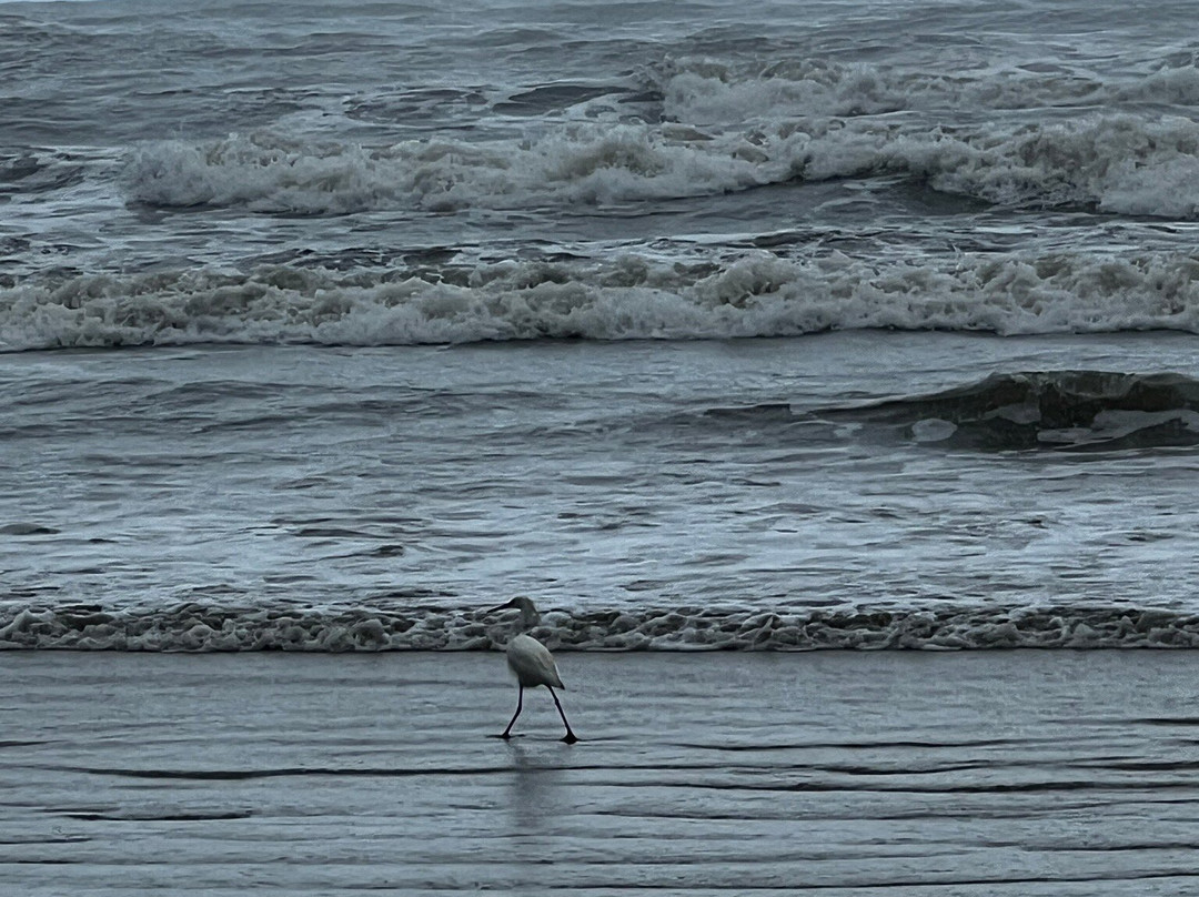 Riviera De São Lourenço Beach-Bertioga必去景点