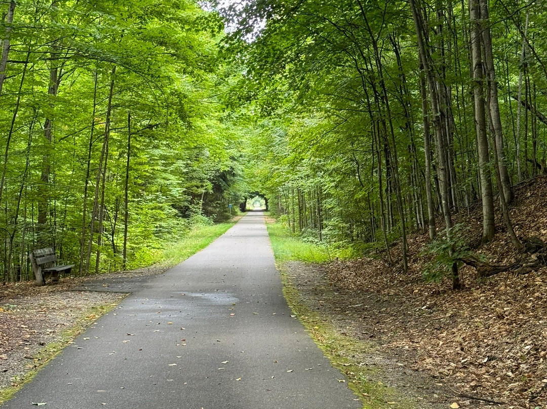 Grand Traverse Bike Tours景点图片