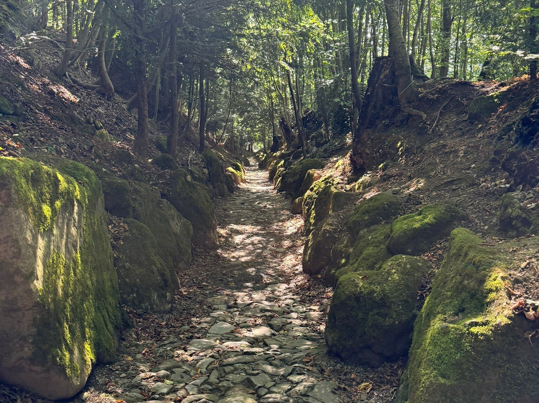 Hohle Gasse-Immensee必去景点