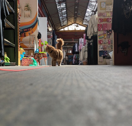 Red Brick Market Sheffield-谢菲尔德必去景点