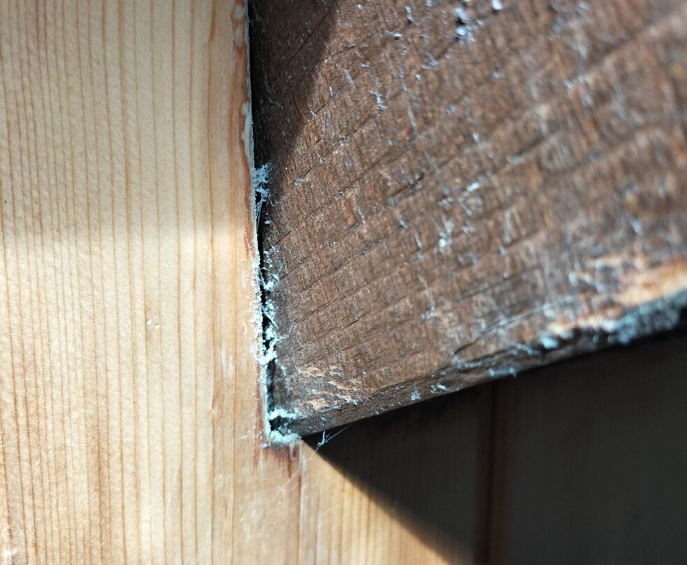 Casa Alpina Sant' Apollinare主图