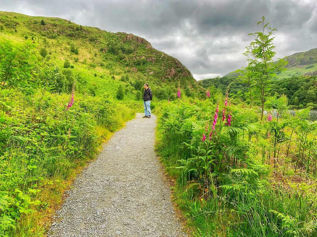 Llyn Dinas-Beddgelert必去景点