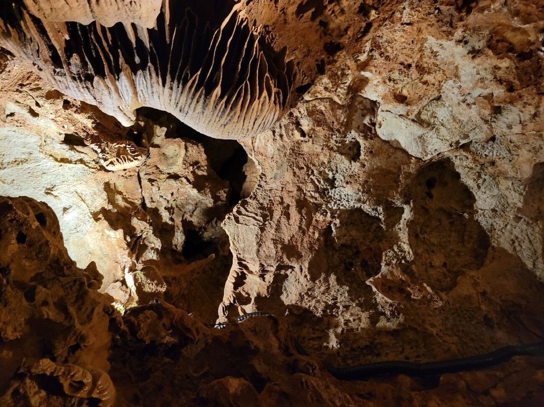 Grotte de Saint-Cézaire景点图片