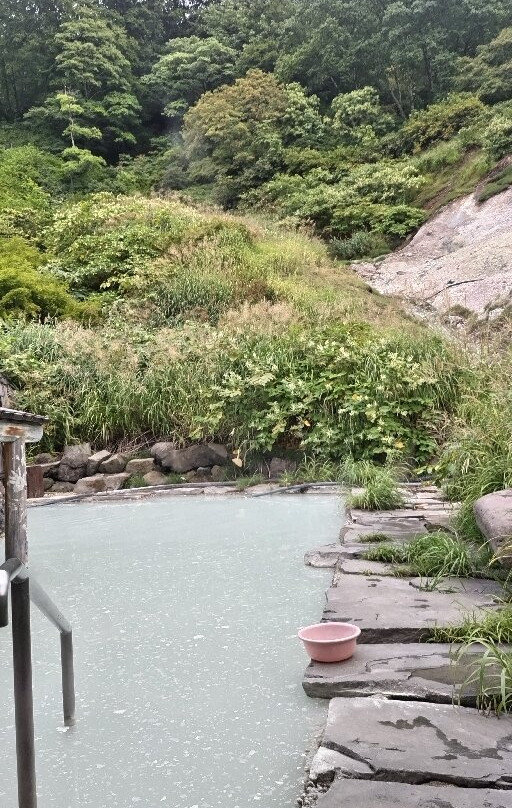 Okuyama Ryokan主图
