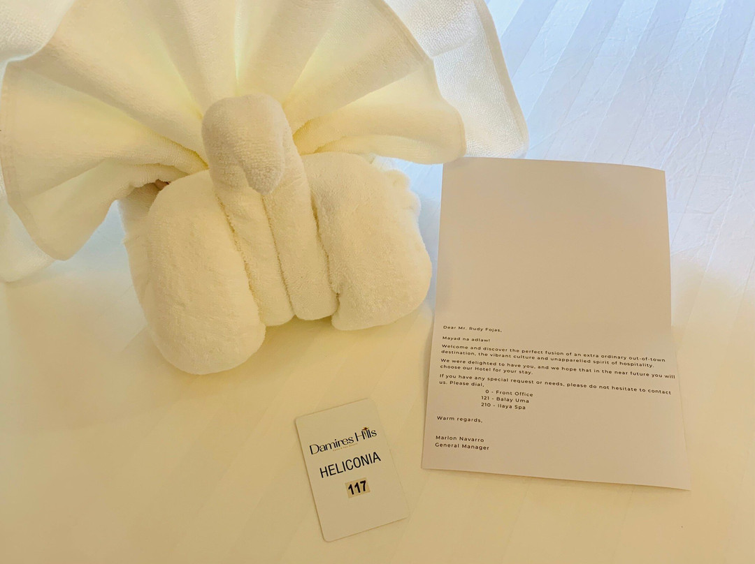 Damires Hills Tierra Verde主图