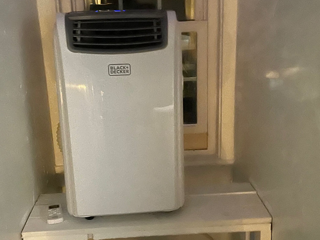 The Copper Swan主图