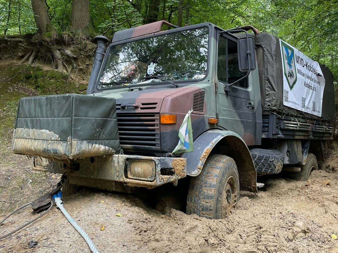 Offroad Park - Boser Wolf-Knullwald必去景点